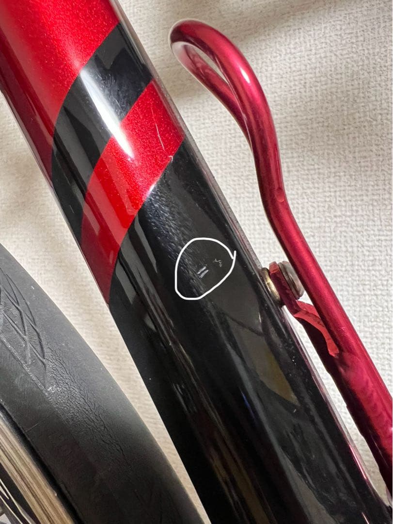 GUSTO RCR DURO SPORT EVO 2019 L(カスタム有り)