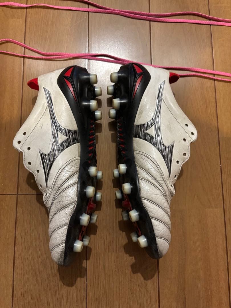 25センチ　モレリアネオIV モレリアネオ4