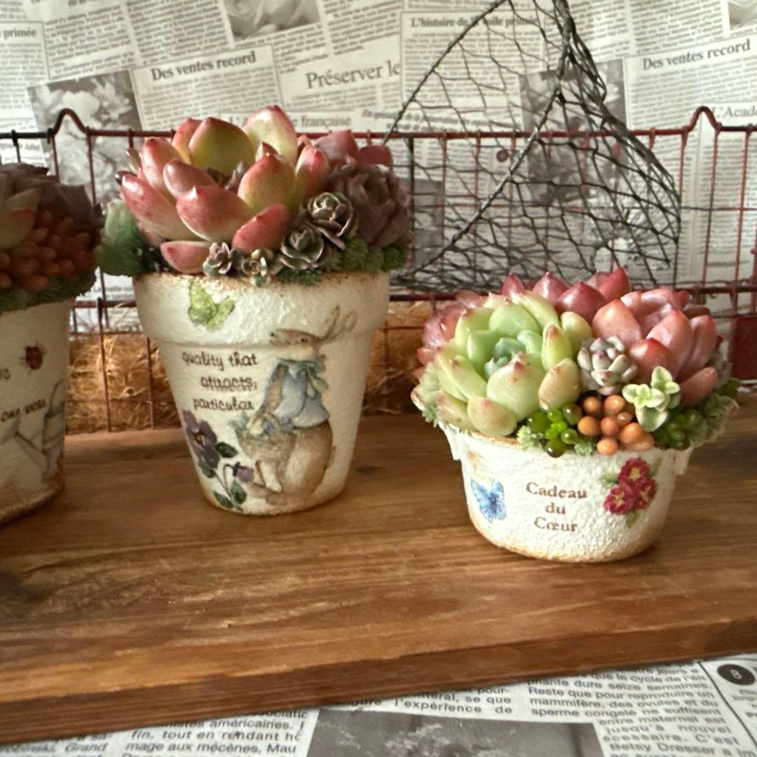 ★Rabbit♡リメイク鉢★そのまま飾れる多肉植物の寄せ植えちまちまリメ鉢