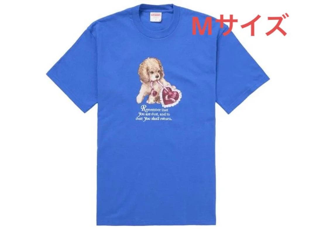 Supreme dusty tee blue Mサイズ