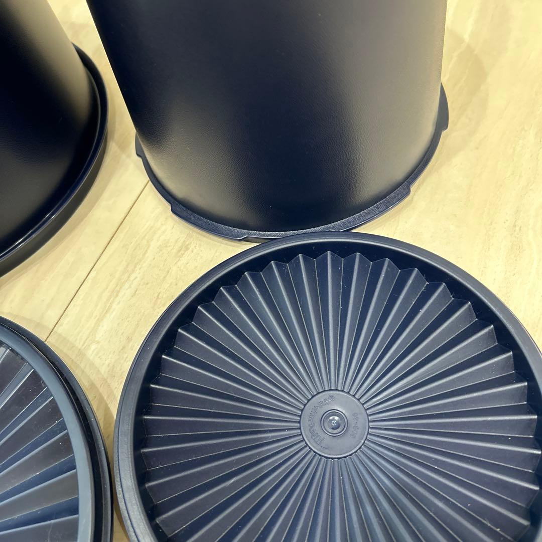 専用！最新タッパーウェア　マキシデコレーター 大と小二点セット　ブルー