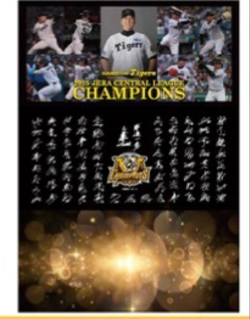 阪神タイガース　優勝記念色紙　優勝記念　 選手寄書きサインTシャツ（Lサイズ）