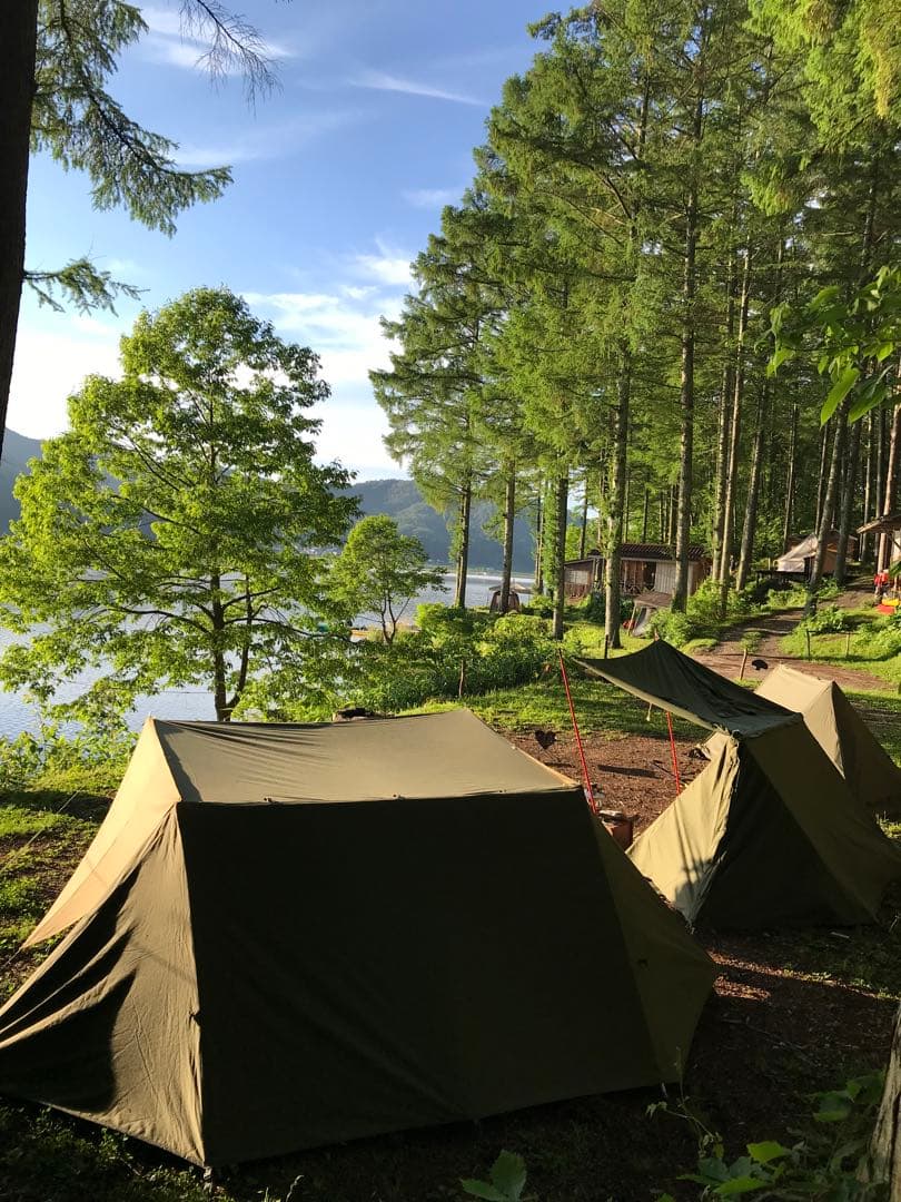 取説付《FUTURE FOX-BASE EVO 》二又フレーム＋棟ポール快適空間