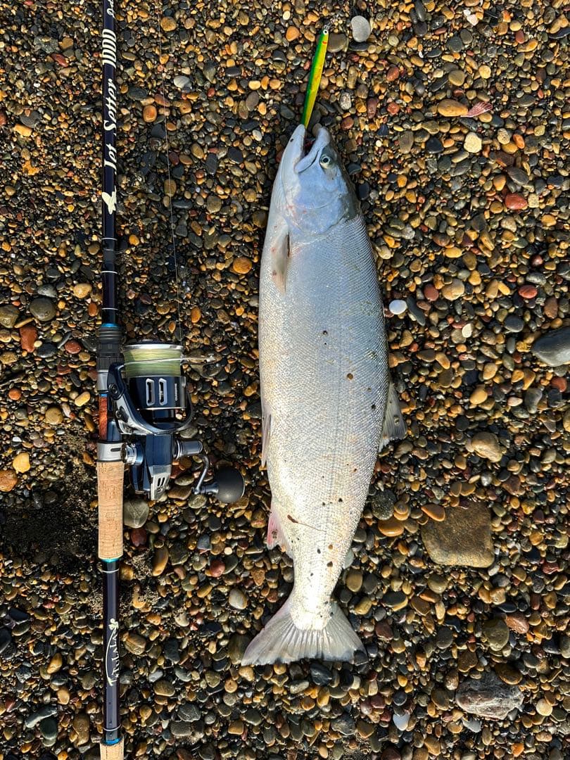 21ツインパワーXD 4000HG 替えスプール（C5000XG）付属