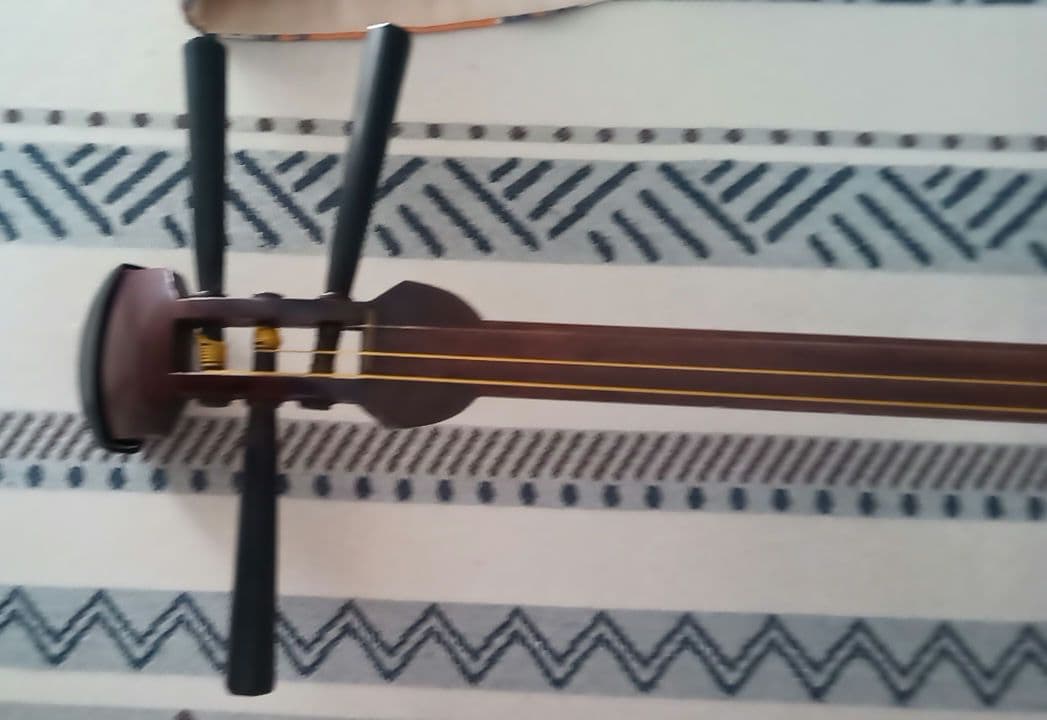 【ジンさん専用】三味線本体＆ハードケース