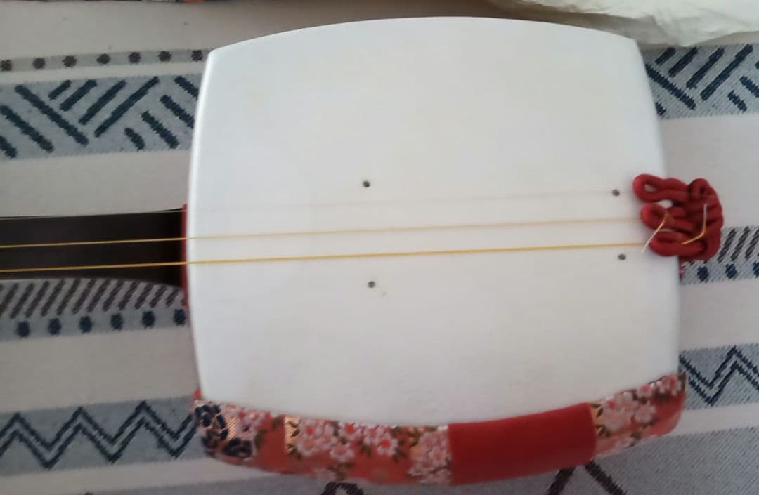 【ジンさん専用】三味線本体＆ハードケース