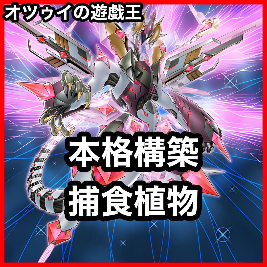 本格構築 捕食植物デッキ プレデタープランツデッキ 血樹竜姫