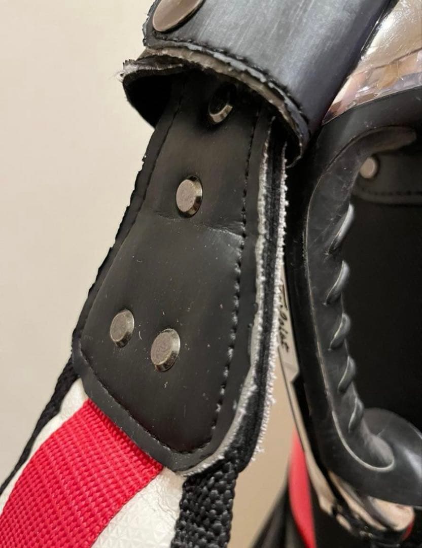 タイトリスト　TITLEIST　キャディバッグ　CB202　ツアーモデル