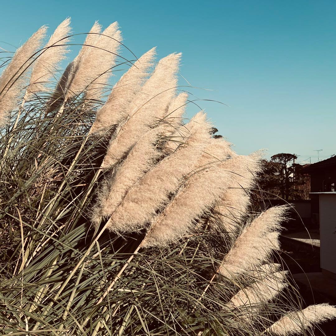 SIGMA 18-50mm F2.8 DC DN レンズ