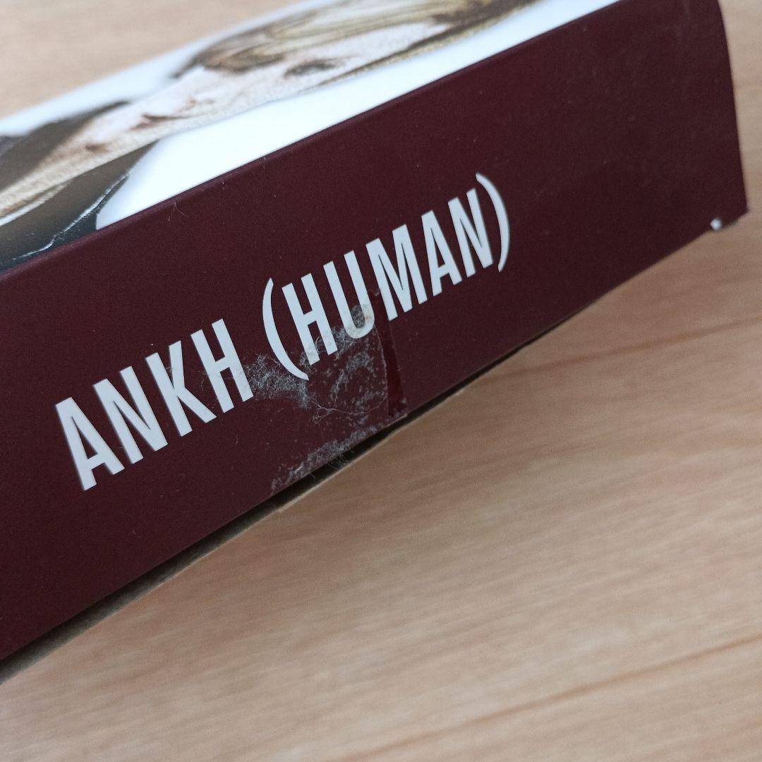 仮面ライダーオーズ　S.H.Figuarts ANKH(HUMAN)　腕アンク