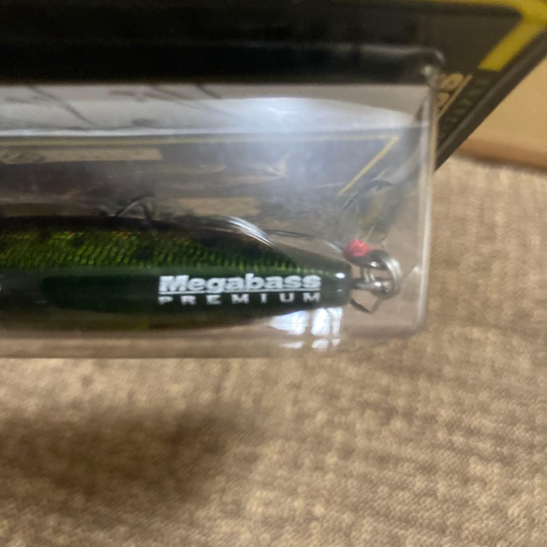 megabass メガバス 限定カラー ポップエックス POPX ポップX