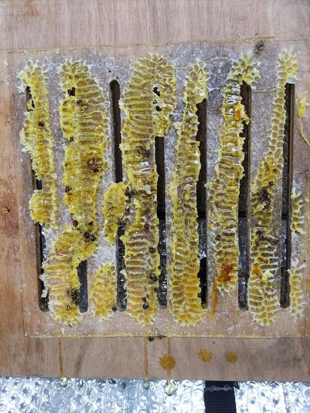 日本蜜蜂 重箱式巣箱4段 スライド底板 付巣門台座 スノコ＋スイスイ