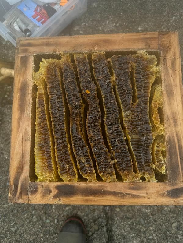 日本蜜蜂 重箱式巣箱4段 スライド底板 付巣門台座 スノコ＋スイスイ