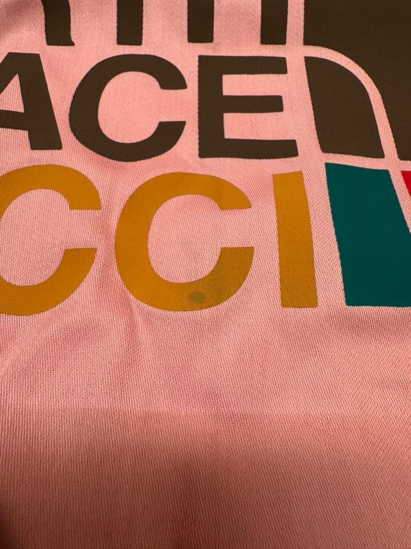 THE NORTH FACE x GUCCI ポーチ