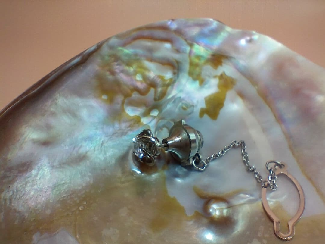 ダイヤモンド タイタックPT850