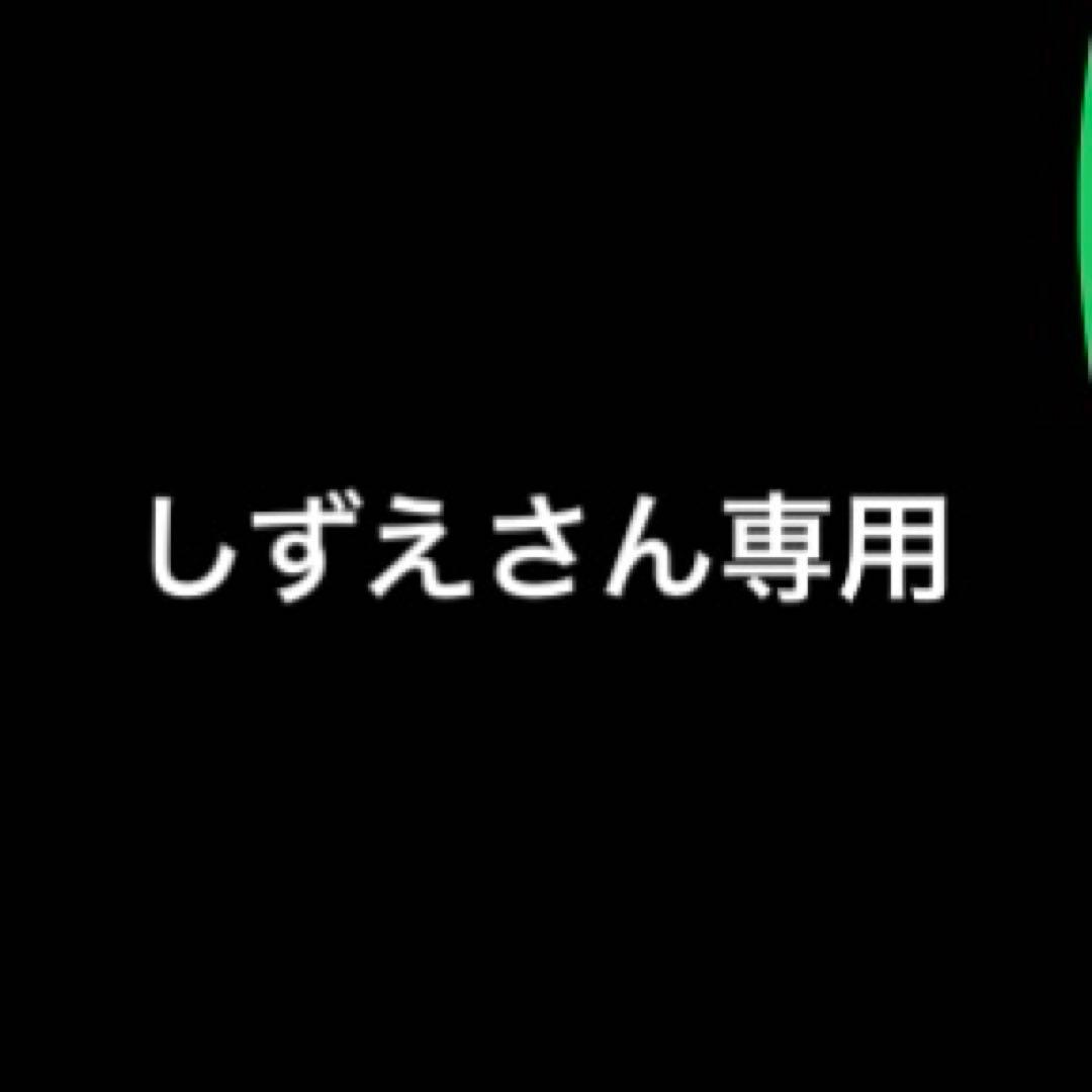 しずえさん専用