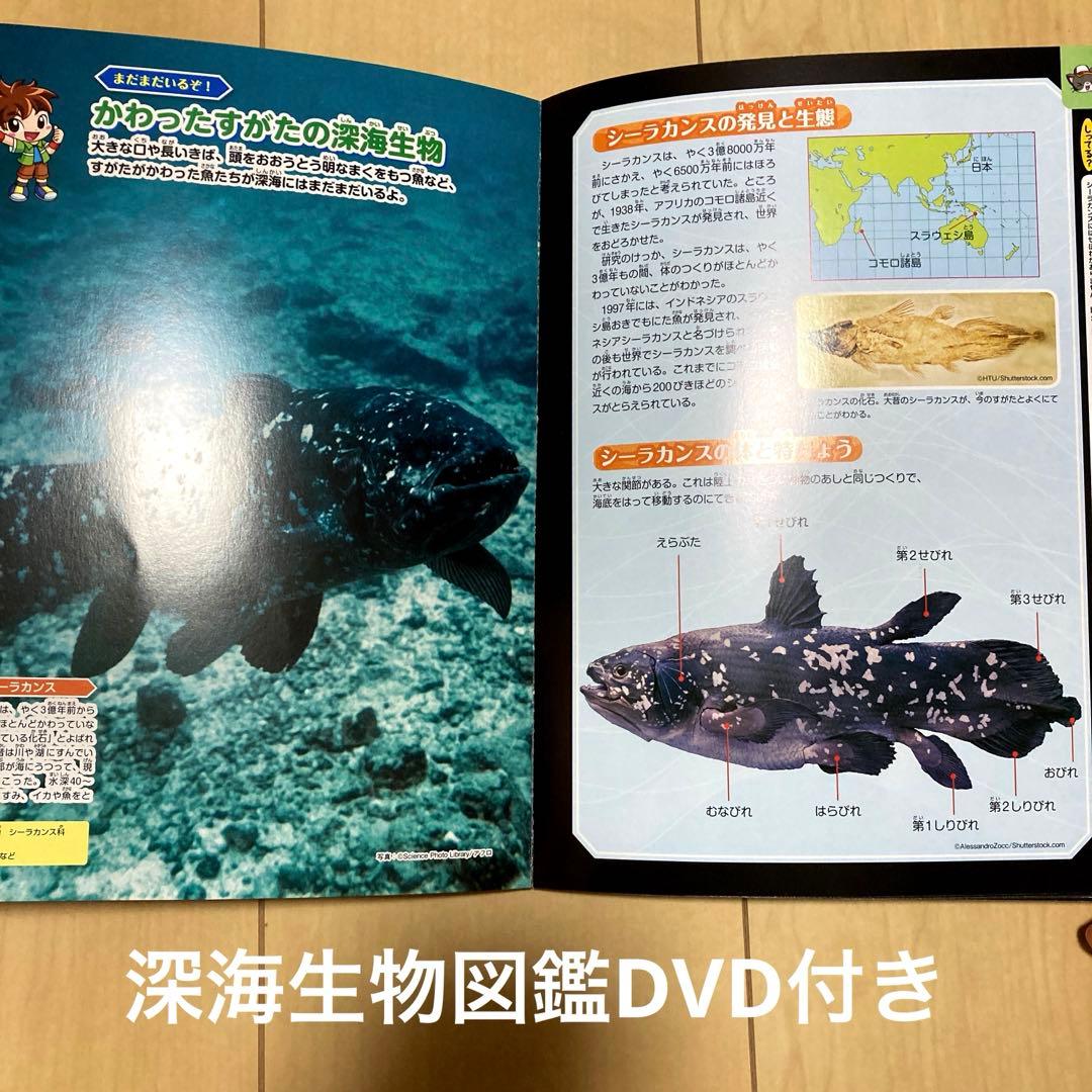 絵本まとめ売り70冊以上