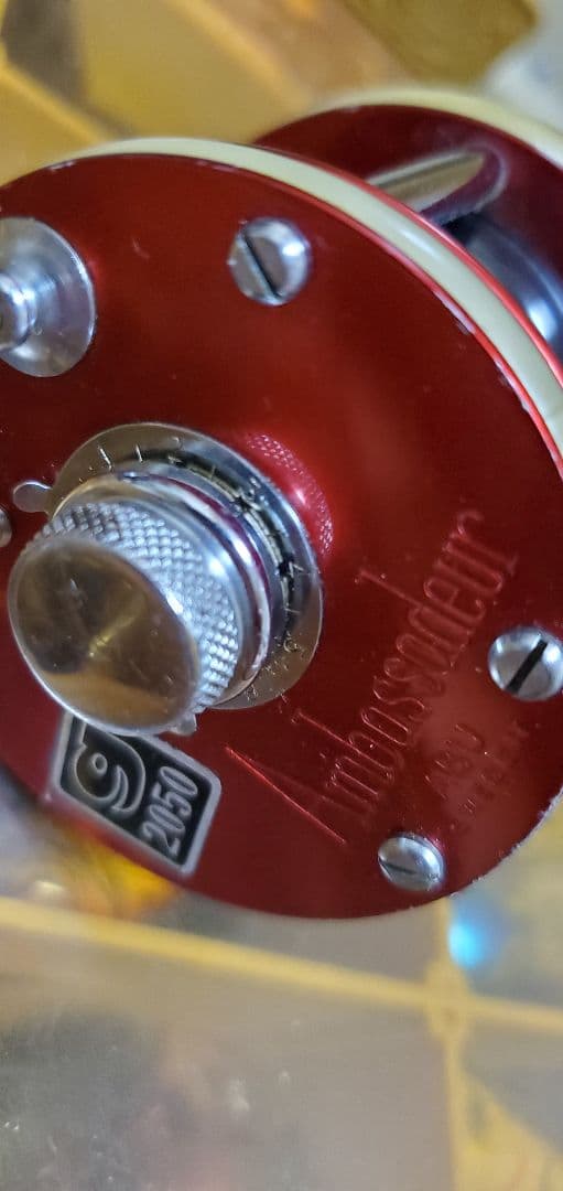 アンバサダー 2050