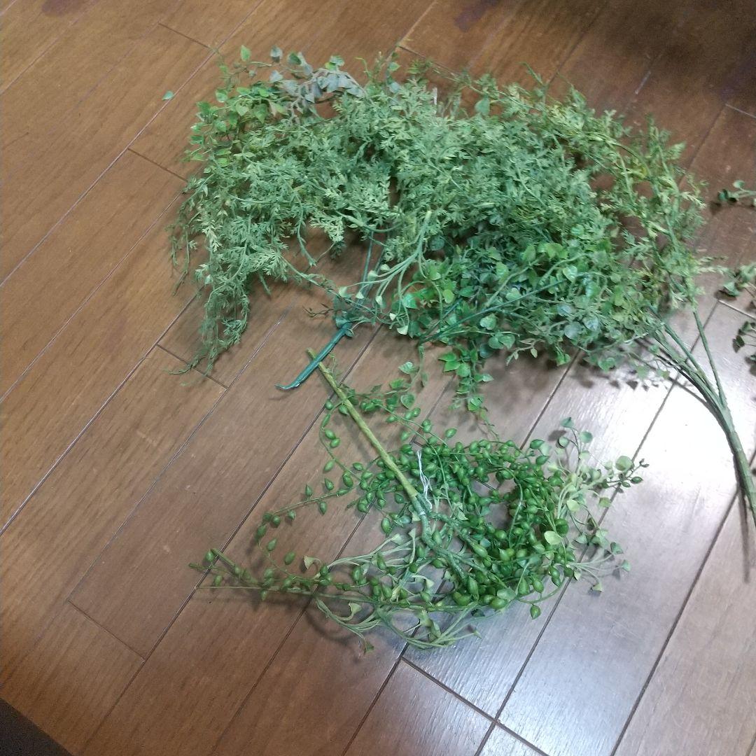 ☆人工植物 フェイクグリーン 詰め合わせ ダンボール大箱 a0493 - メルカリ