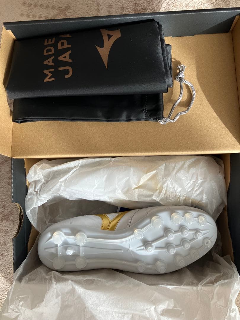 モレリア2 JAPAN AG 24.5cm