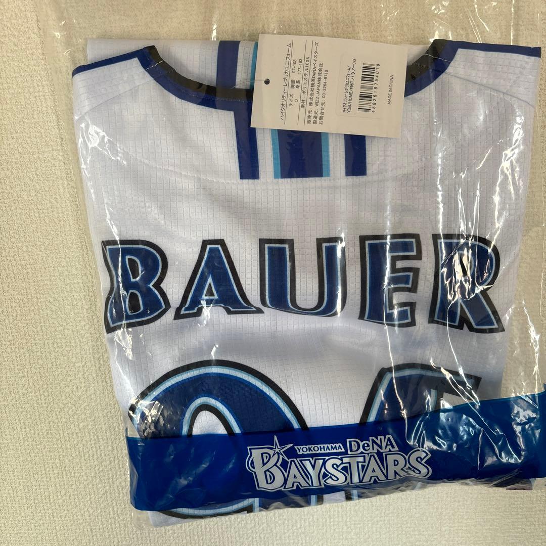 アスガルド19.6 ＋フロアマット＋ギャランティーカード＋グラウンドシート