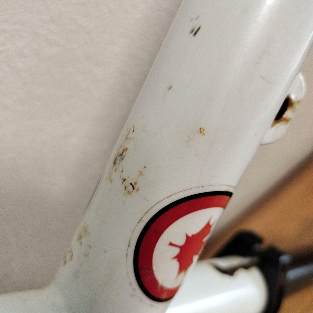 く*ー様 ROCKY MOUNTAIN BLIZZARD MTBフレーム 電蝕ジ