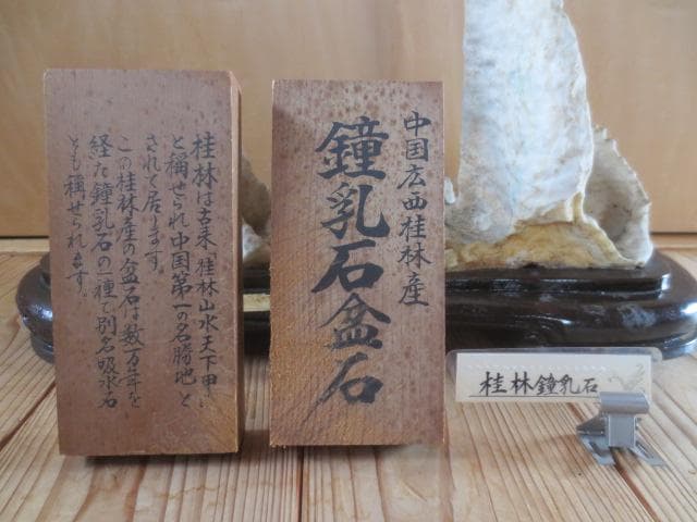 R8/1/14 鍾乳石　中国桂林産 　水石　鉱物　幅44㎝