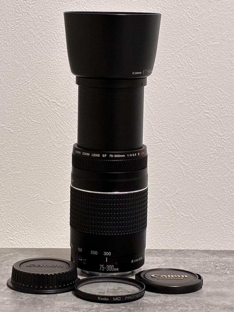 ⭐️美品⭐️ Canon EF 75-300mm F4-5.6 III USM