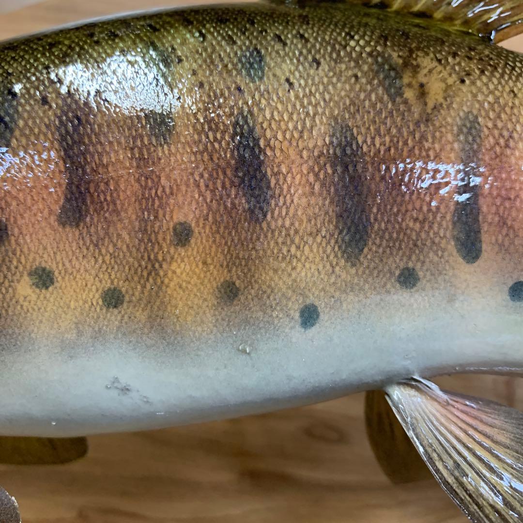 剥製　魚類剥製工房エフクラフト　秋のスーパー山女魚42雄　限定品　インテリア