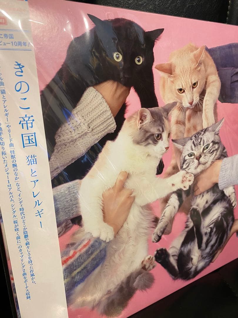 新品⭐︎きのこ帝国 猫とアレルギー アナログ LP レコード