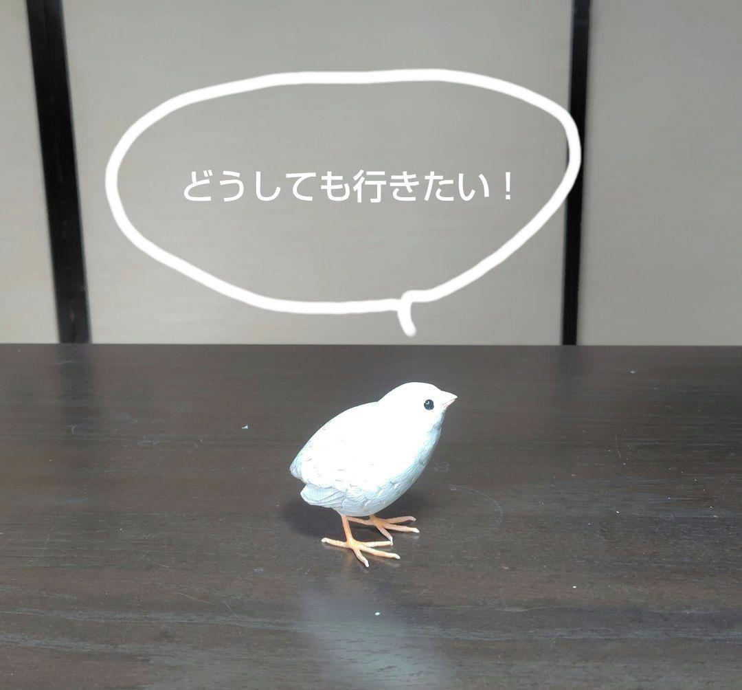 小さなバードカービング ヒメウズラ 小鳥 木彫 - メルカリ