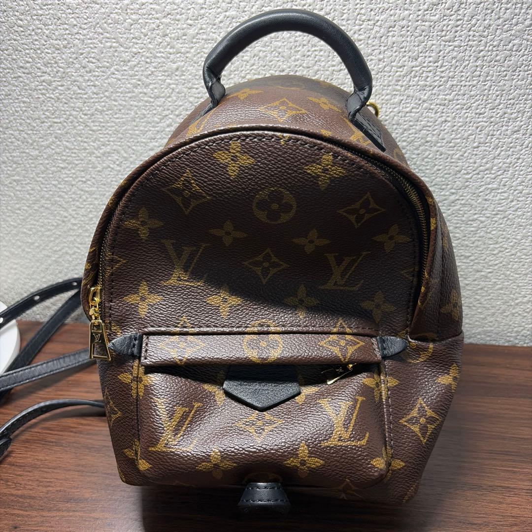 Louis Vuitton ルイヴィトン パームスプリングス バックパック ミニ