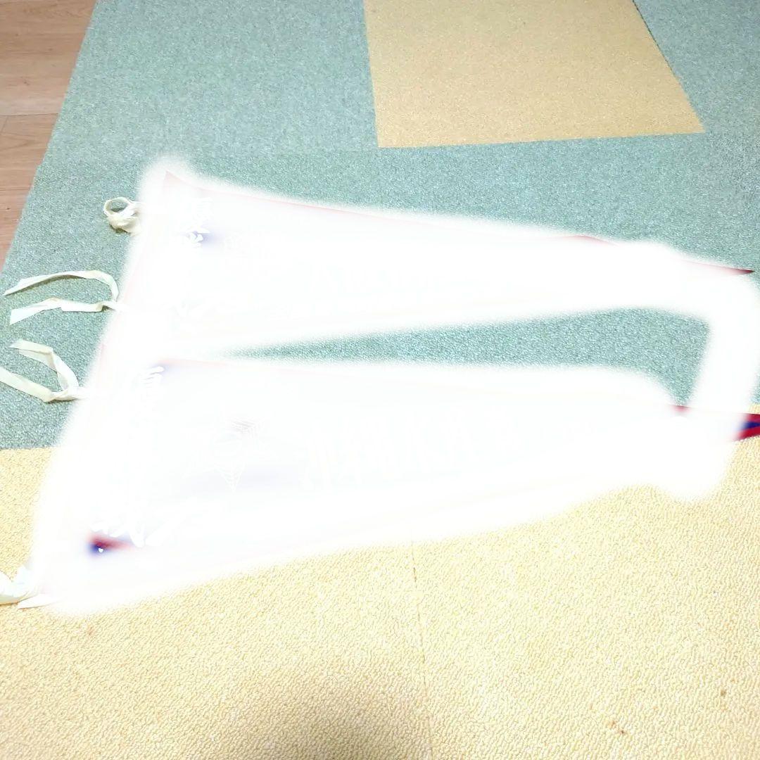 #全国高校野球選手権大会#選抜高校野球大会 決勝戦ペナントセット