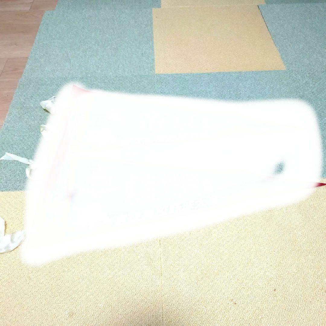 #全国高校野球選手権大会#選抜高校野球大会 決勝戦ペナントセット