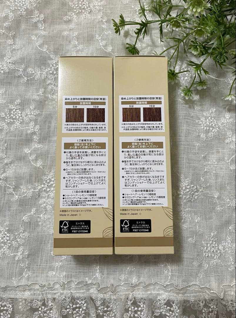 【新品】★最新版ヘアボーテエクラ／ボタニカルエアカラーフォームup150g★