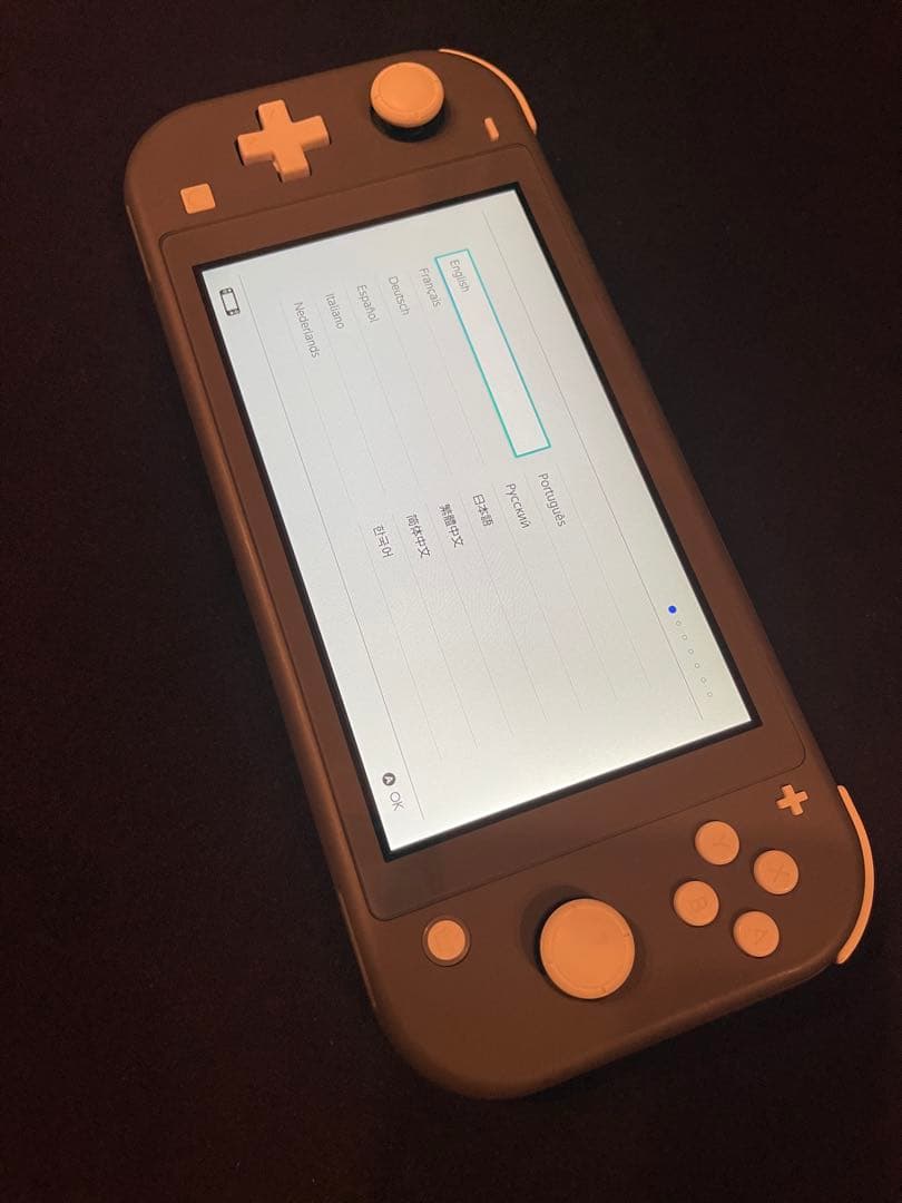 Nintendo Switch Lite グレー 本体セット スイッチライト