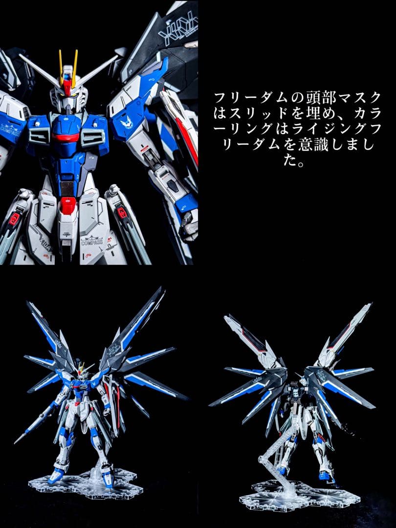 MG1/100 ライジングフリーダムガンダム ゼウスシルエット ミキシング完成品