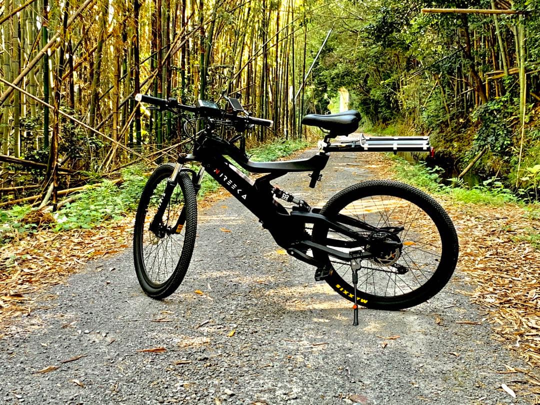 自転車本体 USA Nireeka Homie Carbon 500w eMTB