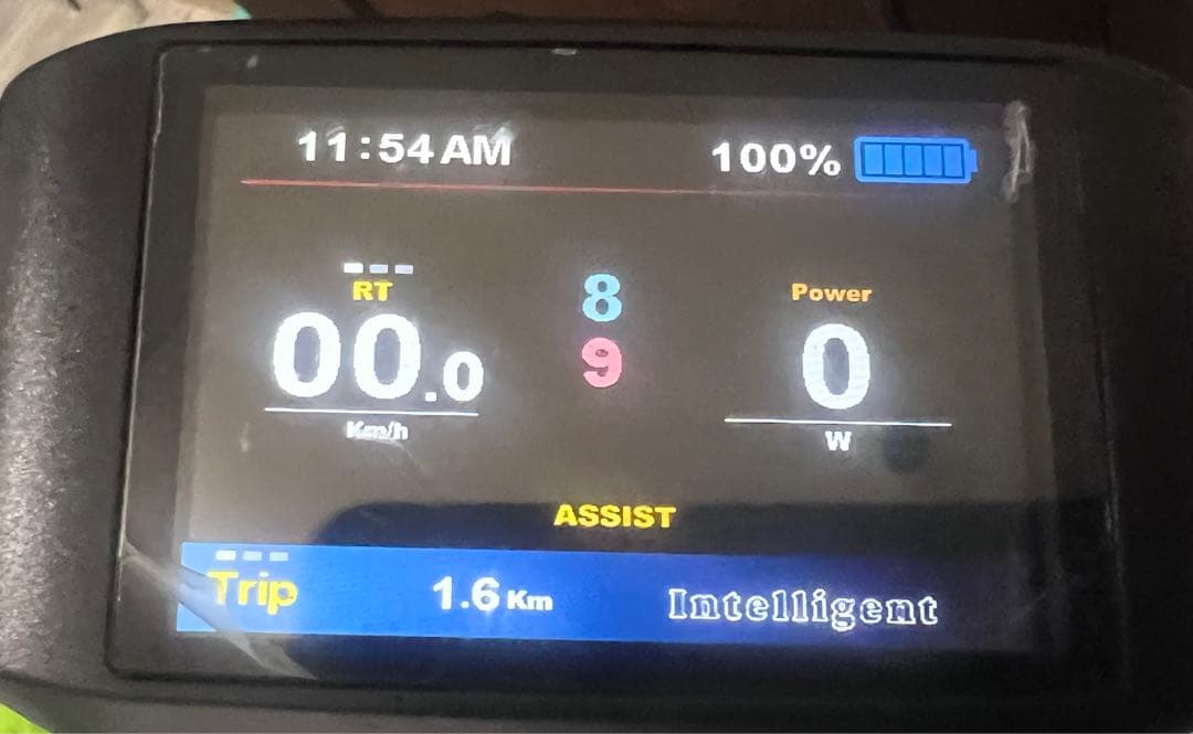 自転車本体 USA Nireeka Homie Carbon 500w eMTB