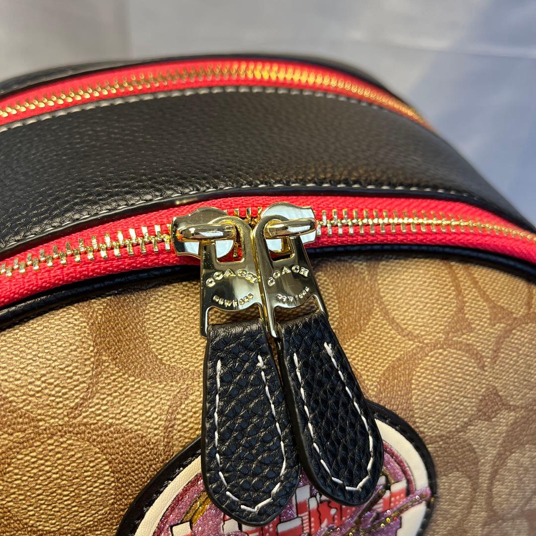 新品 COACH コーチ リュック コートブロック サインキャンバスバックパック