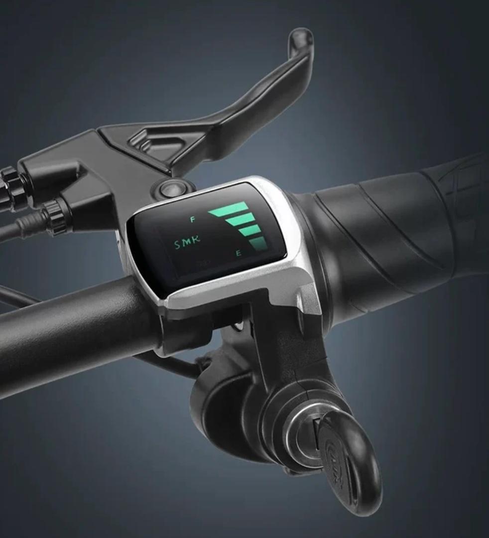 Baicycle S2 Pro 原付一種 新古車 前後サスペンション - メルカリ