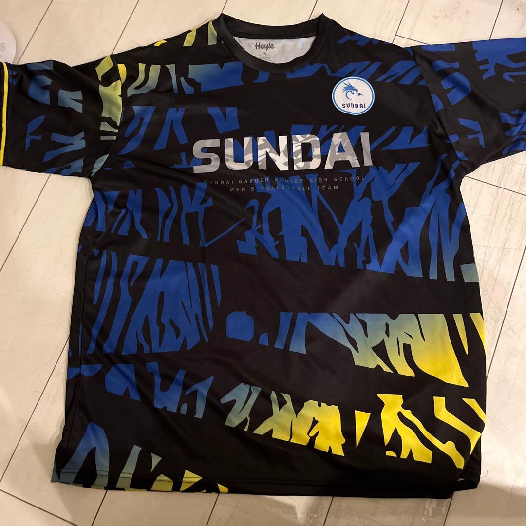 駿台学園バレーボールTシャツ練習着 駿台学園バレー練習着 駿台学園