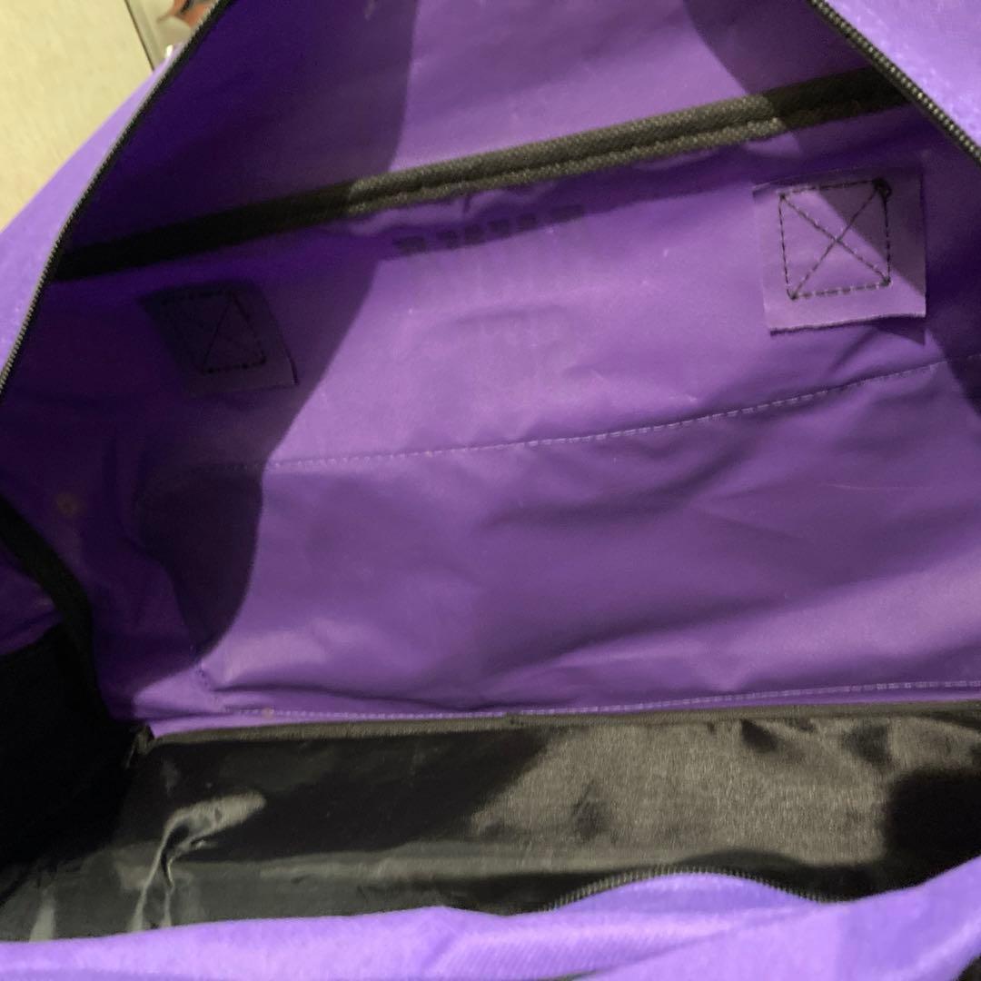 ANNA SUI キャリーバック