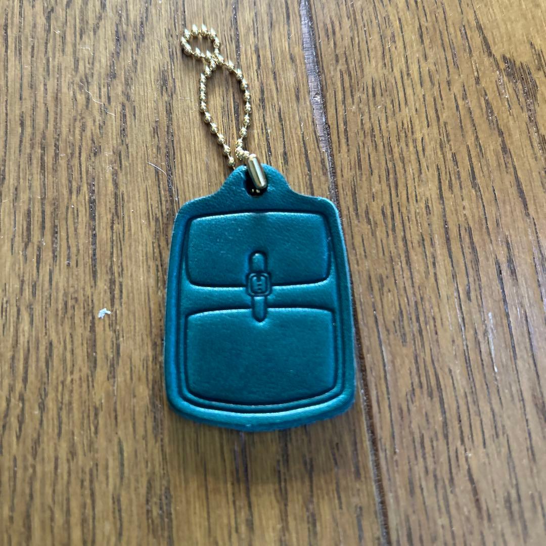 アナロジコ ナップサック　限定フォレストグリーン　未使用