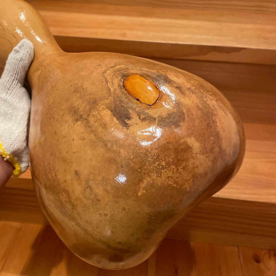 イプ　　訳あり