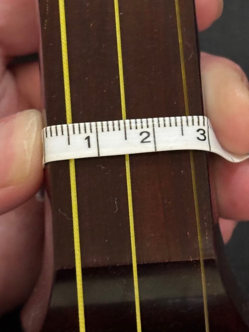 三味線 本体 青色 木製 3弦 ケース付き ×2