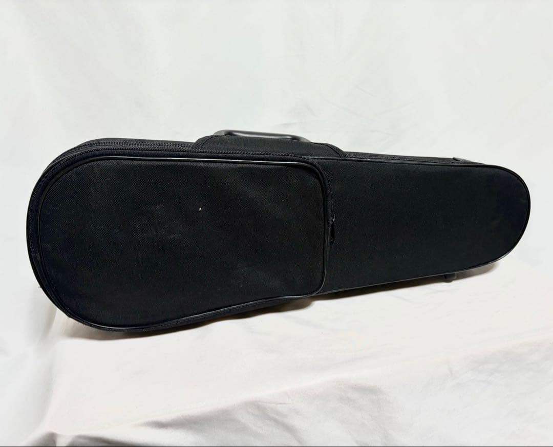 Carlo giordano バイオリン VS-1 1/8サイズ 2013年