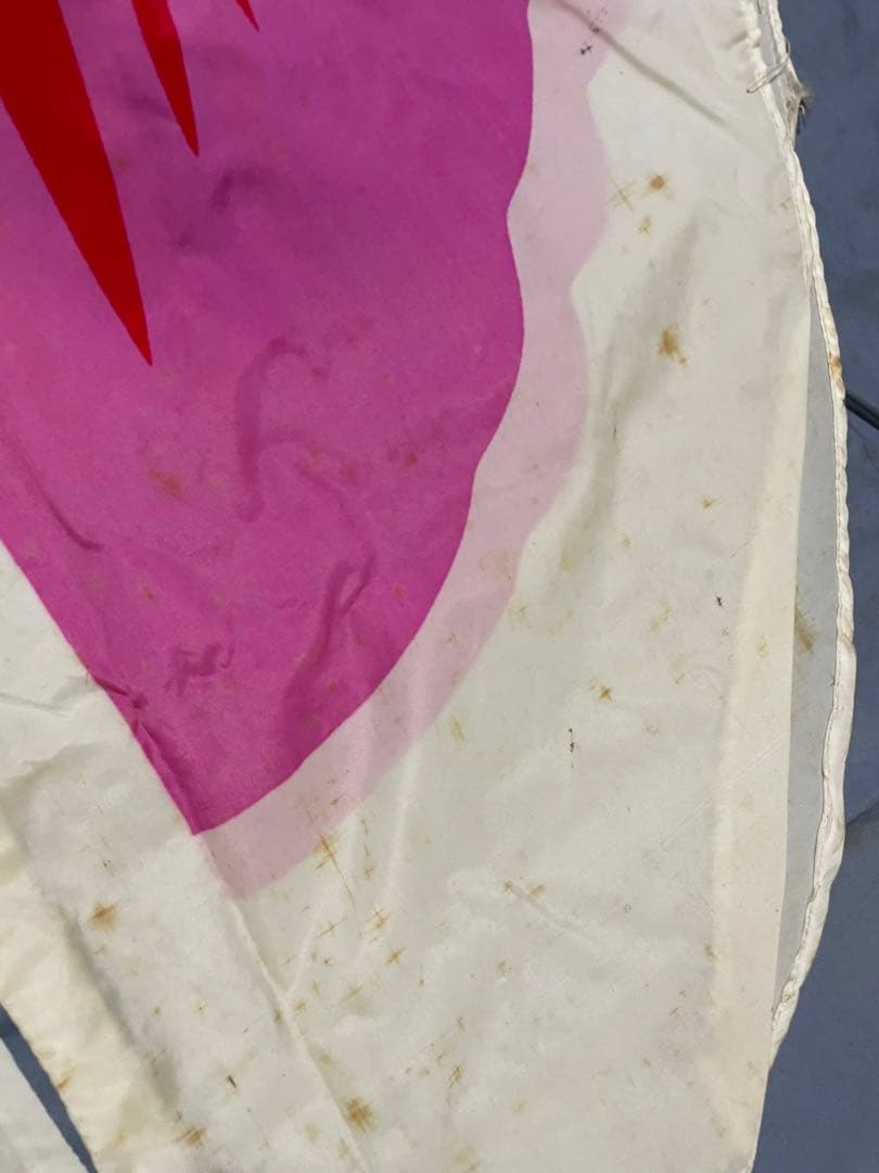 キング印 鯉のぼり 5m