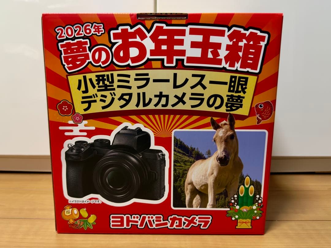 ヨドバシカメラ 夢のお年玉箱 2026 小型ミラーレス一眼デジタルカメラ