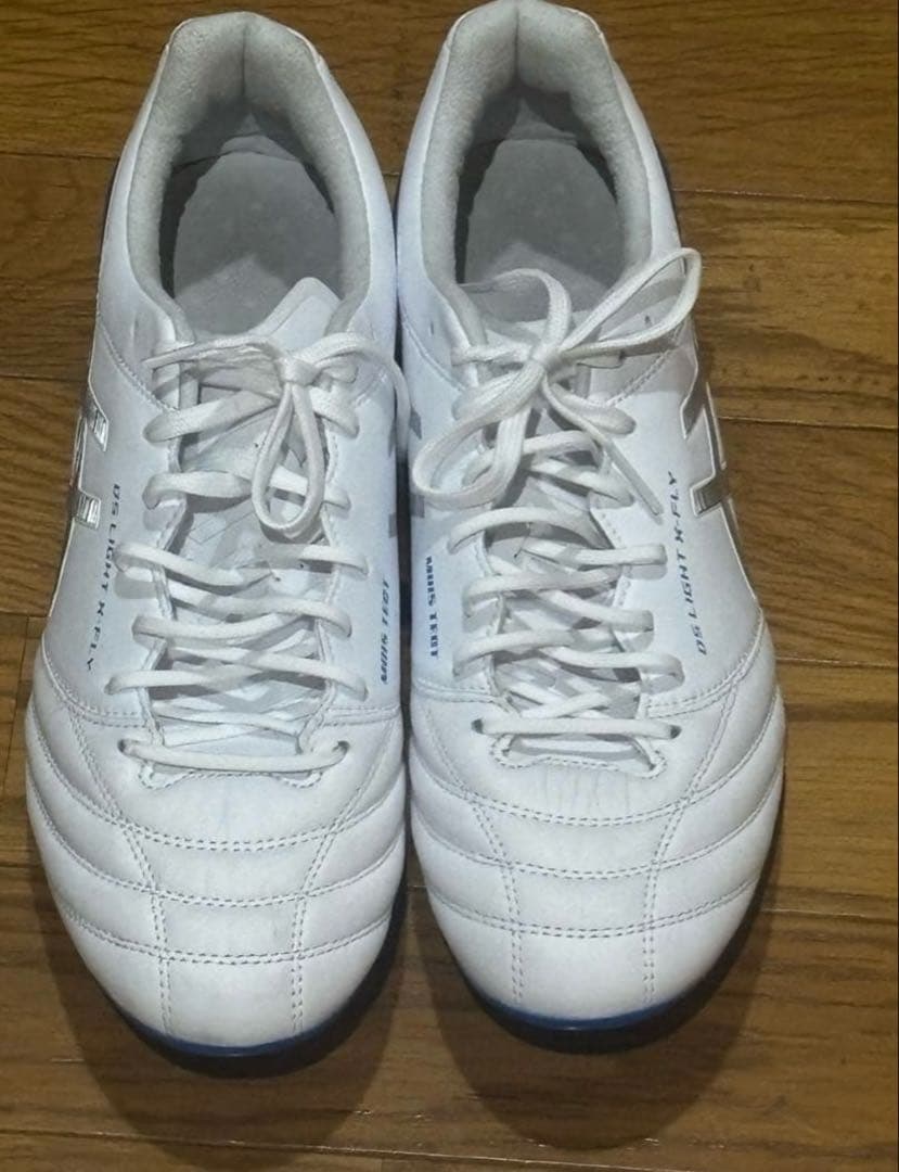 DS ライトX-fly5ブルー25.0cm アシックスdsライトエックスフライ5 右足